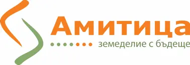 Амитица